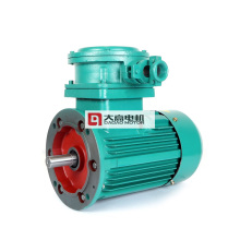 Ybx3 Series Di Diibt4 High Effiency Explosion-Proof Three Phase Induction Electric Motor